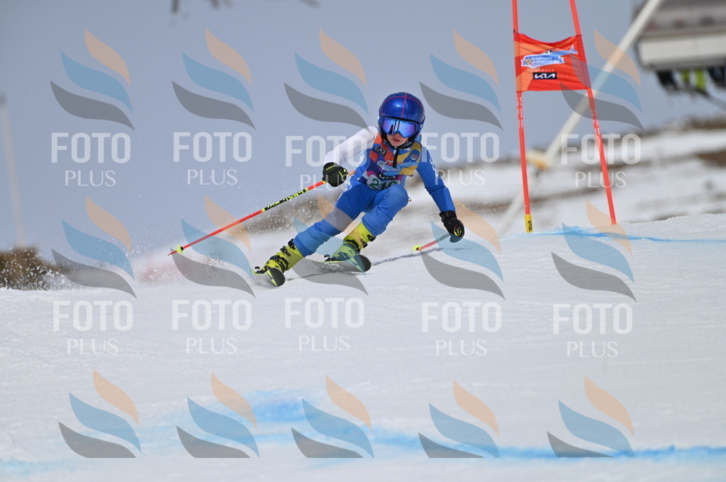 BGV_4269 | holidayphoto