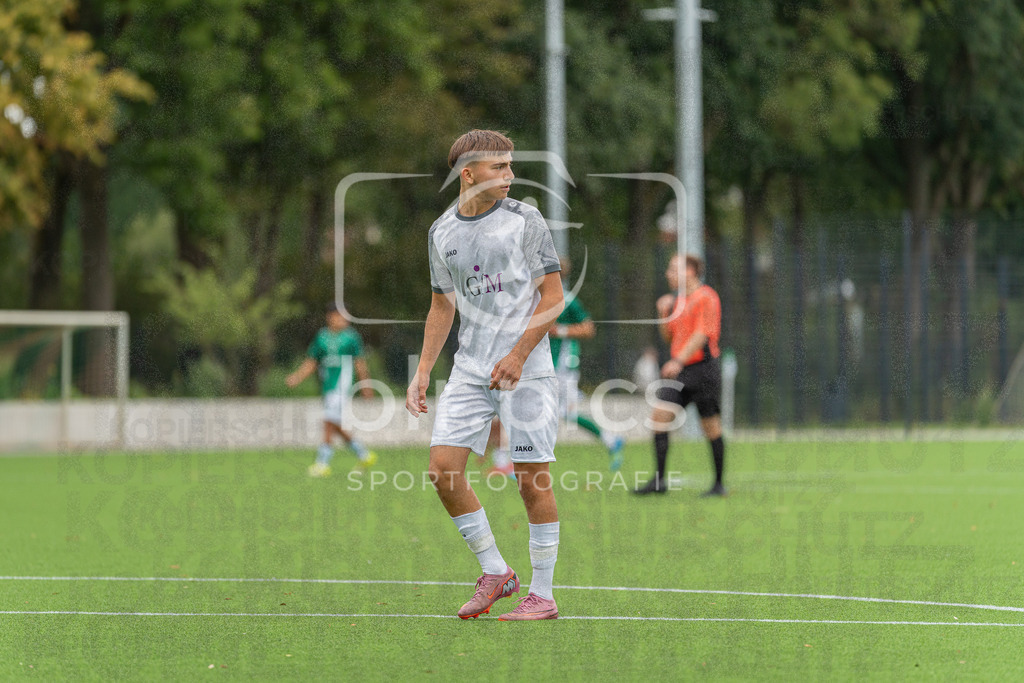SV Werder Bremen - SV Grohn | SV Werder Bremen - SV Grohn