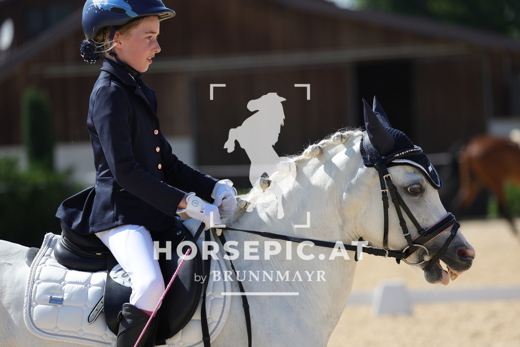 0P6A1473 | Willkommen bei Brunnmayr - Design & Fotografie – Ihrem Spezialisten für Reitturniere und Pferdeveranstaltungen in Oberösterreich, Salzburg und Bayern! Seit über 17 Jahren sind wir leidenschaftlich dabei.