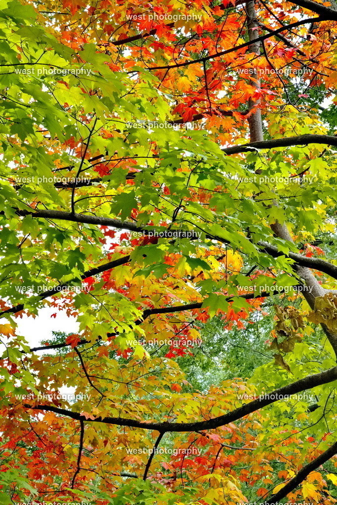 Colors of Canada - CAN 2022 | west photography - Realisiert mit Pictrs.com