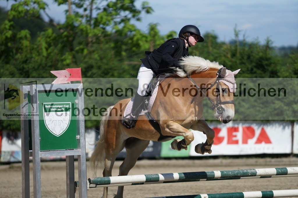 DSC06155 | equestrian-live-com