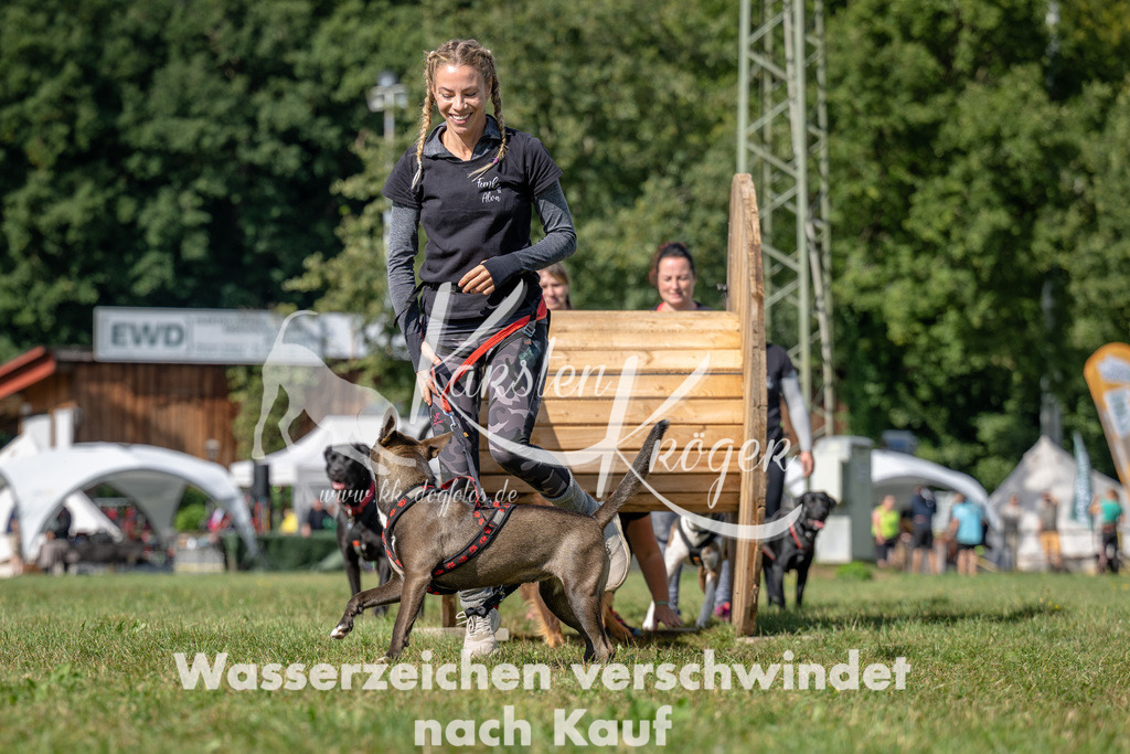 1131_ZZ90416 | kk-dogfotos