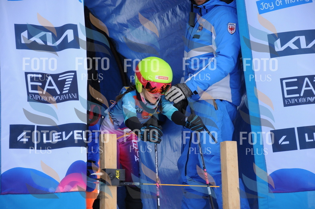 DSC_8101 | holidayphoto