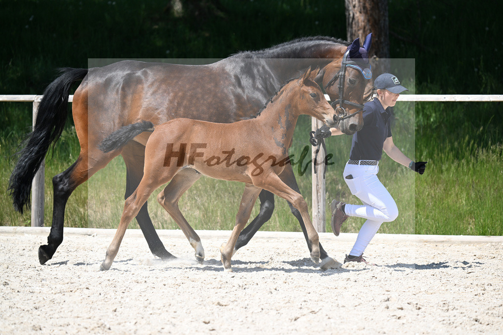 Vingino x Catoo_SF_Haller_10250770 | hf-fotografie - Realisiert mit Pictrs.com
