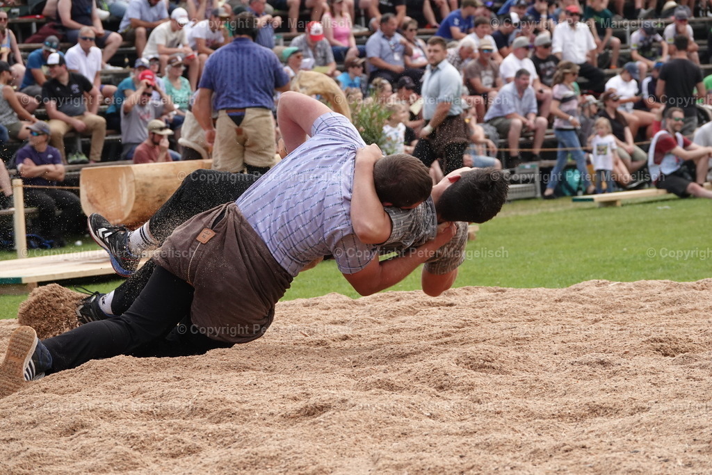 DSC04618 | Schwingen - Realisiert mit Pictrs.com