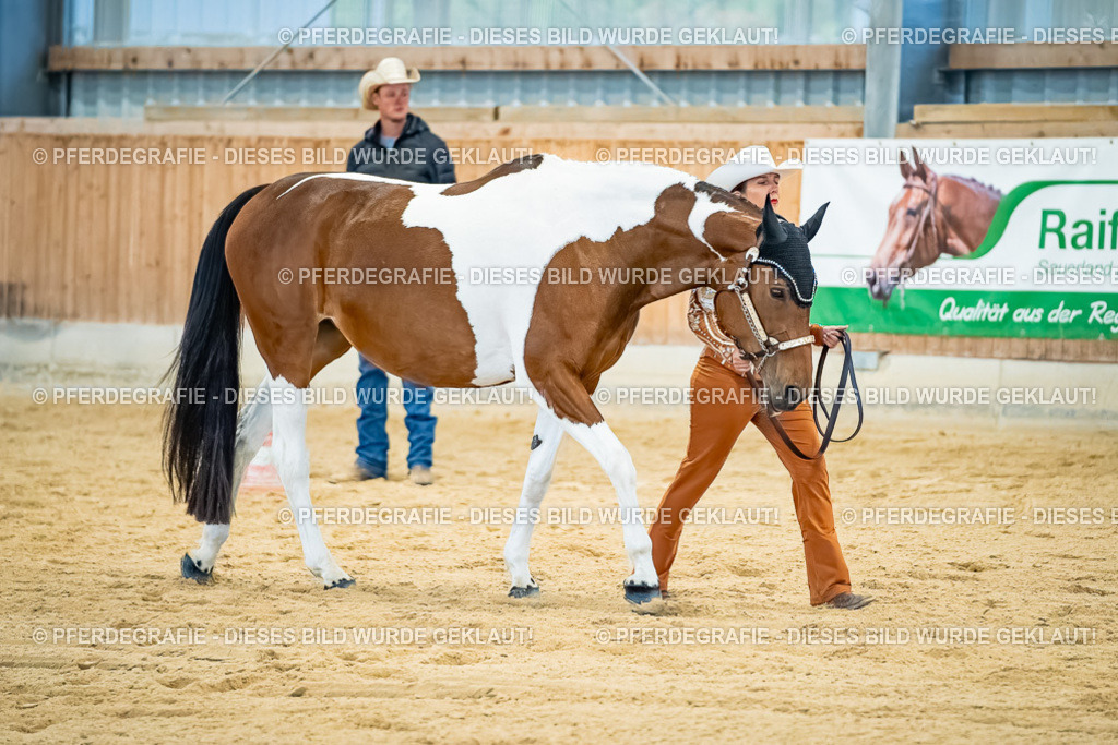 DSC09725 | Pferdegrafie