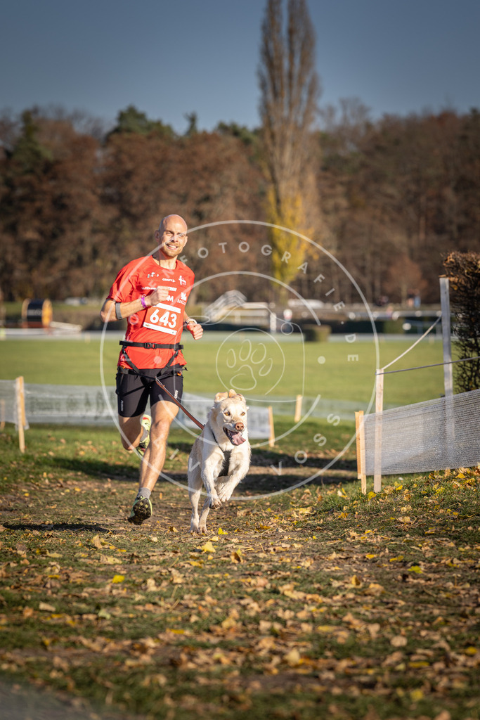 CaniXpix_DV3A0360 | Hundefotografie, Tierfotograf, Pfotenfotografie, Fotoshooting Hund, Hunde Portrait, Hundesport, Hundeportraits, Heideshooting, Hunde, Sportfotograf, Hundefotograf, Turnierhundsport, THS,  - Realisiert mit Pictrs.com