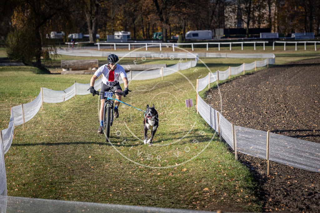 CaniXpix_DV3A3832 | Hundefotografie, Tierfotograf, Pfotenfotografie, Fotoshooting Hund, Hunde Portrait, Hundesport, Hundeportraits, Heideshooting, Hunde, Sportfotograf, Hundefotograf, Turnierhundsport, THS,  - Realisiert mit Pictrs.com