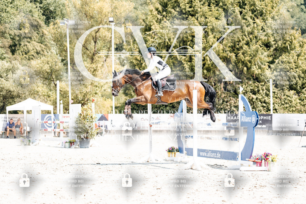 CK901006 | Turnierfotografie Pferdefotografie Trier Rheinland-Pfalz Pferdesport Reitsport Tierfotografie Sportfotografie Pferdevideo Pferdevideografie Equestrianvideography equestrianphotography  - Realisiert mit Pictrs.com