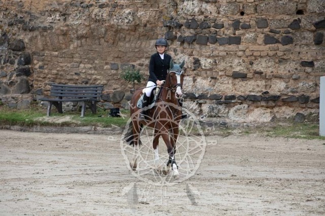 2B4A2282 | pixelfaenger - Realisiert mit Pictrs.com