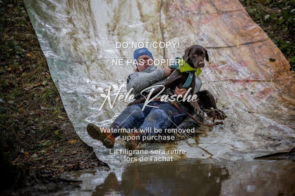nelerasche_Hunsrück_Sa1430-1500_170-final | nelerasche