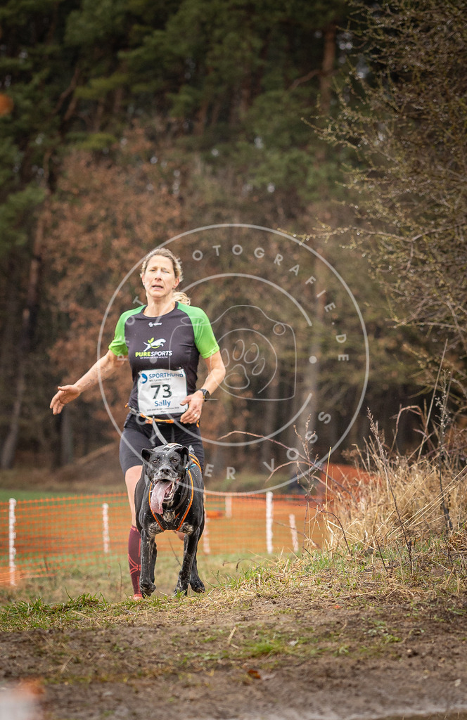 DV3A0238 | Hundefotografie, Tierfotograf, Pfotenfotografie, Fotoshooting Hund, Hunde Portrait, Hundesport, Hundeportraits, Heideshooting, Hunde, Sportfotograf, Hundefotograf, Turnierhundsport, THS,  - Realisiert mit Pictrs.com