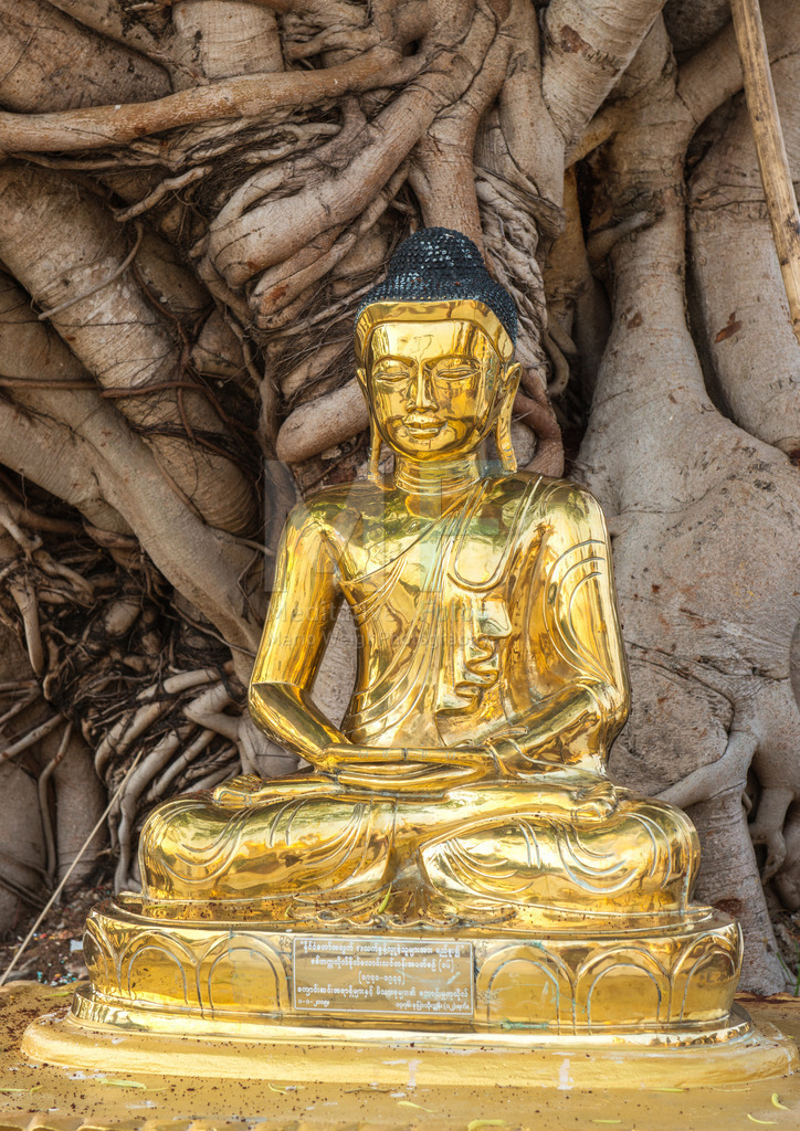 MW0411-0014 | Gespendeter Buddha vor einem Bodhibaum
 - Realisiert mit Pictrs.com