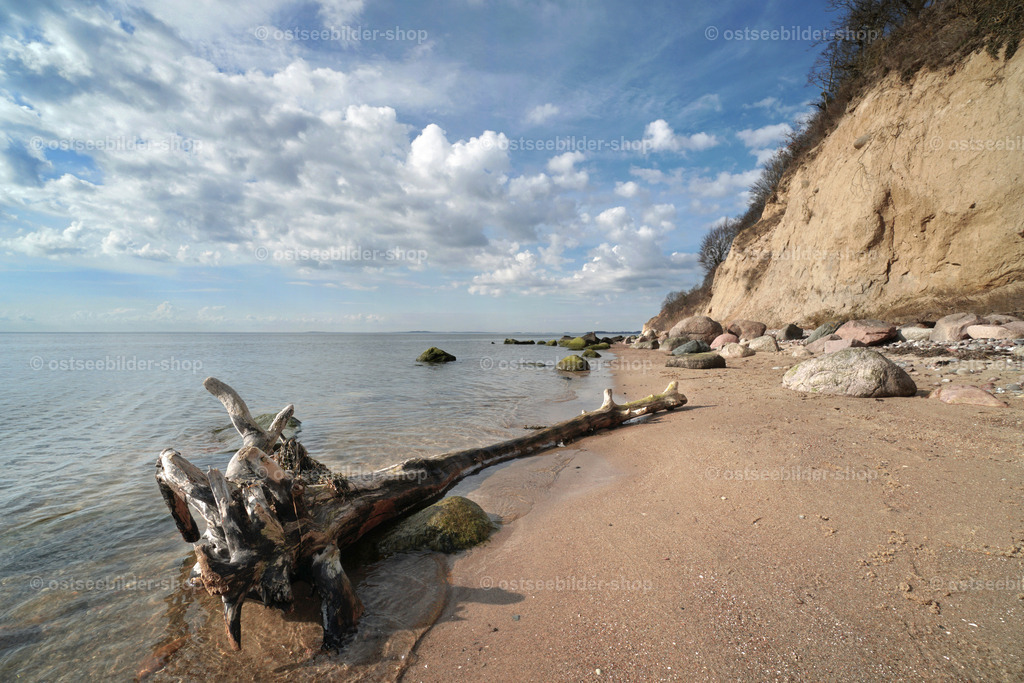 Treibholz zwischen Wasser und Strand | Ein abgestürzter Baum liegt als Treibgut am Strand des Zickerschen Höfts im Mönchgut. Beim nächsten Hochwasser wird die Reise fortgesetzt. Vom Ufer aus geht der Blick auf den Rügischen Bodden.