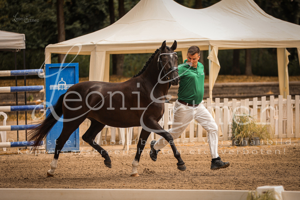 12.So00014 | Leoni Ertmer Photography - Realisiert mit Pictrs.com