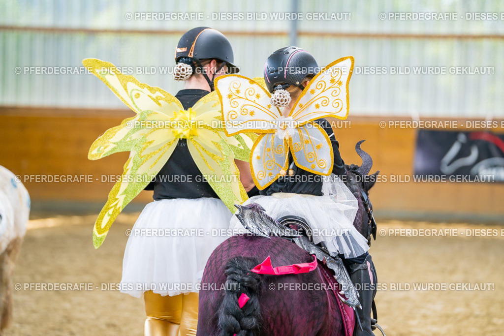 DSC00330 | Pferdegrafie