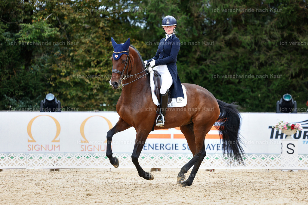 6-196-AMATUER-DRESSUR S_  -StoibPH-3516 | working equitationturnier fotograf videograf stoibphotography marixx film working equitation deutschland reitsport turnierfotografie eventfotografie equestrian events