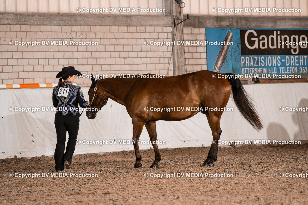 ZH200042 | dv-media-shop - Realisiert mit Pictrs.com