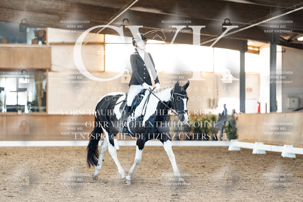 CK907613 | Turnierfotografie Pferdefotografie Trier Rheinland-Pfalz Pferdesport Reitsport Tierfotografie Sportfotografie Pferdevideo Pferdevideografie Equestrianvideography equestrianphotography  - Realisiert mit Pictrs.com