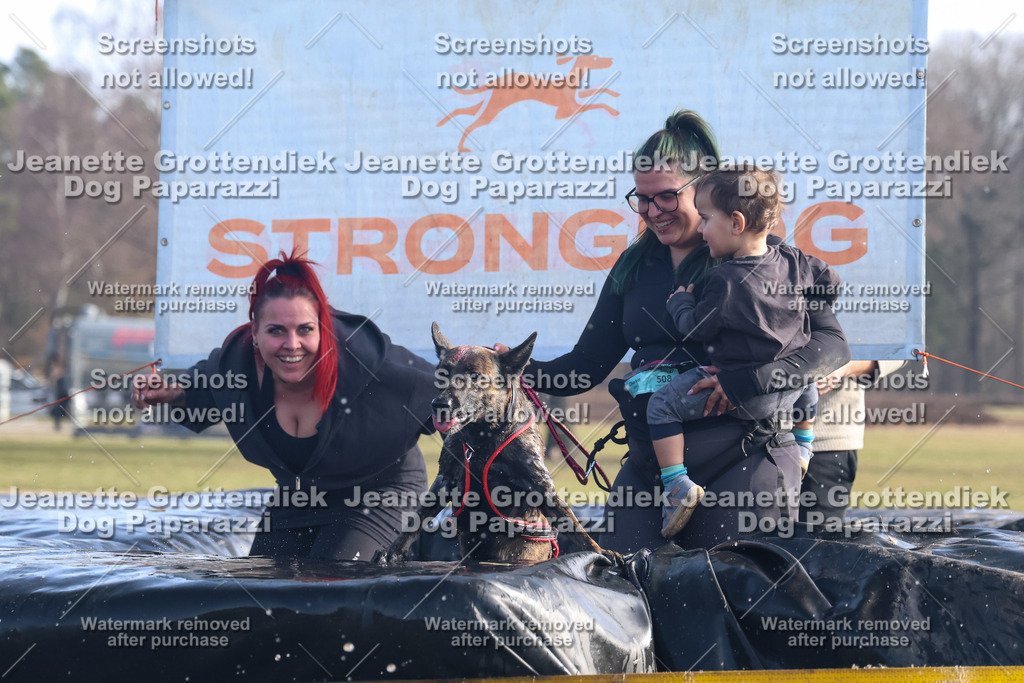 Dog Paparazzi - Strongdog North Mrz26-1024 | Dog Paparazzi Jeanette Grottendiek Fotografie & Videografie - Realisiert mit Pictrs.com