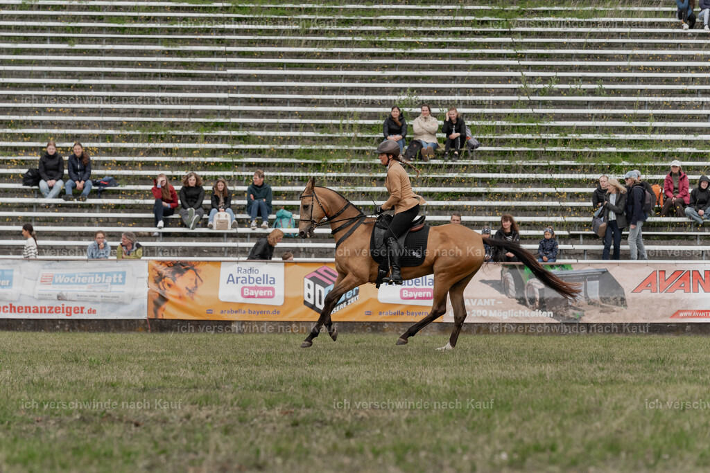 Showprogramm-317 | working equitationturnier fotograf videograf stoibphotography marixx film working equitation deutschland reitsport turnierfotografie eventfotografie equestrian events