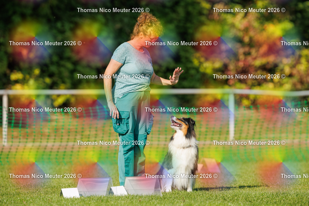 Thomas_Nico_Meuter(C)_04. Oktober 2026_223A2725 | Bild von Thomas Nico Meuter - Realisiert mit Pictrs.com