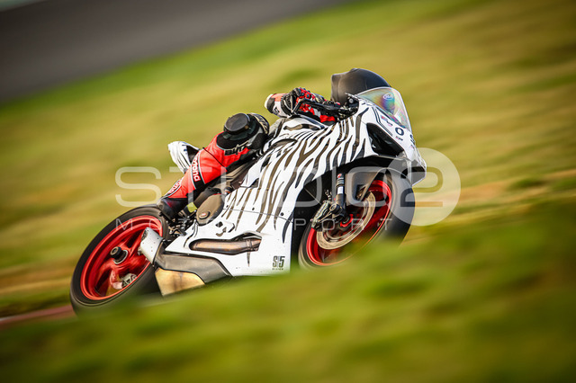 0096-240925_MO-017_96 | Deine Full-Service-Agentur für ✔️Videoproduktionen und ✔️Motorsportfotografie Jetzt Angebot anfragen!