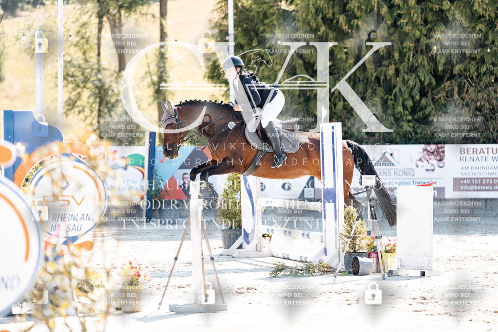 CK905257 | Turnierfotografie Pferdefotografie Trier Rheinland-Pfalz Pferdesport Reitsport Tierfotografie Sportfotografie Pferdevideo Pferdevideografie Equestrianvideography equestrianphotography  - Realisiert mit Pictrs.com