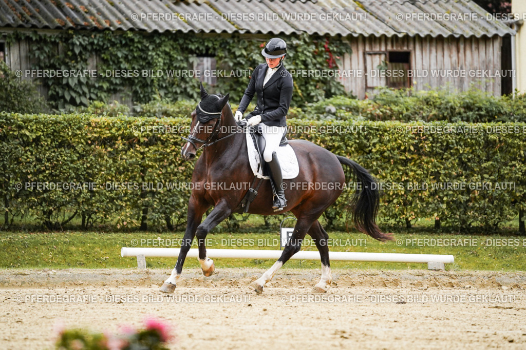 DSC06769 | Pferdegrafie