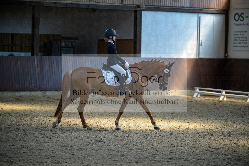 Reitturnier Voxtrup | Entdecke hochwertige Reitturnierfotos von Foto Oger. Professionell, emotional und authentisch – jetzt Lieblingsmomente im Shop bestellen.Deutschlandweite Turnierfotografie. - Realisiert mit Pictrs.com