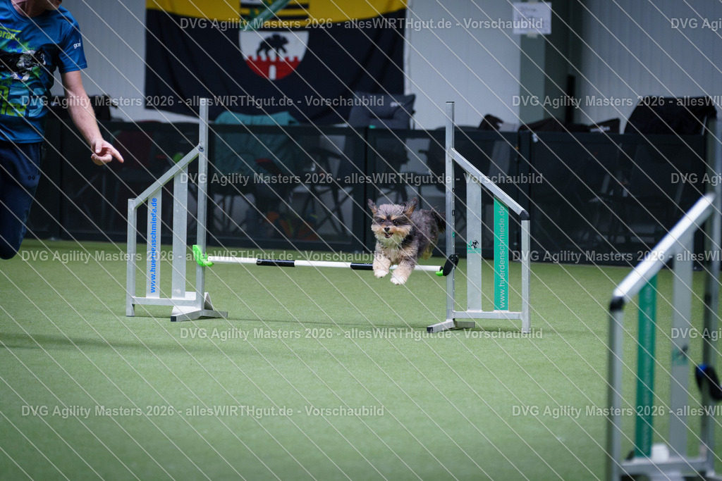 allesWIRTHgut_Tierfotografie-DVG_Agility_Masters_2026-12_17-7R502141 | Professionelle Tierfotografie in Mönchengladbach von Daniel Wirth (allesWIRTHgut). Liebevolle & natürliche Bilder von Hunden & Katzen für unvergessliche Erinnerungen.