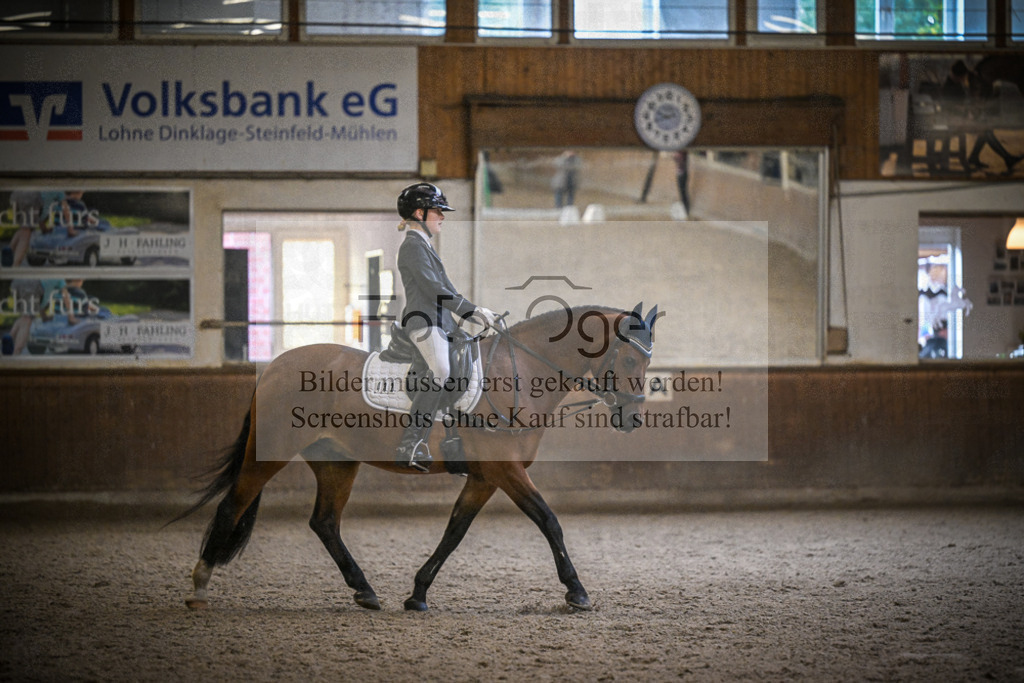 DOS_0105 | Entdecke hochwertige Reitturnierfotos von Foto Oger. Professionell, emotional und authentisch – jetzt Lieblingsmomente im Shop bestellen.Deutschlandweite Turnierfotografie. - Realisiert mit Pictrs.com