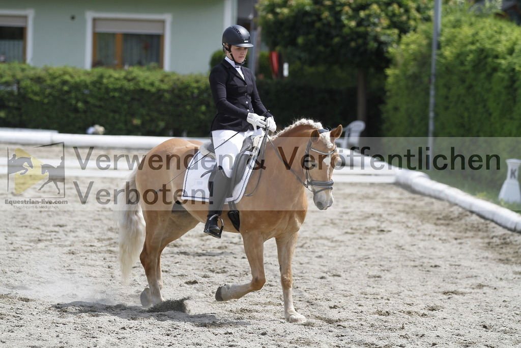 _MG_8717 | equestrian-live-com