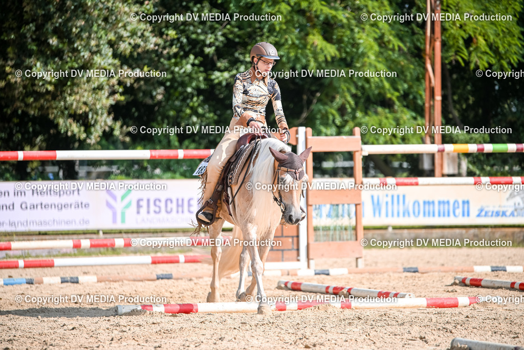 ZS2_3478 | dv-media-shop - Realisiert mit Pictrs.com