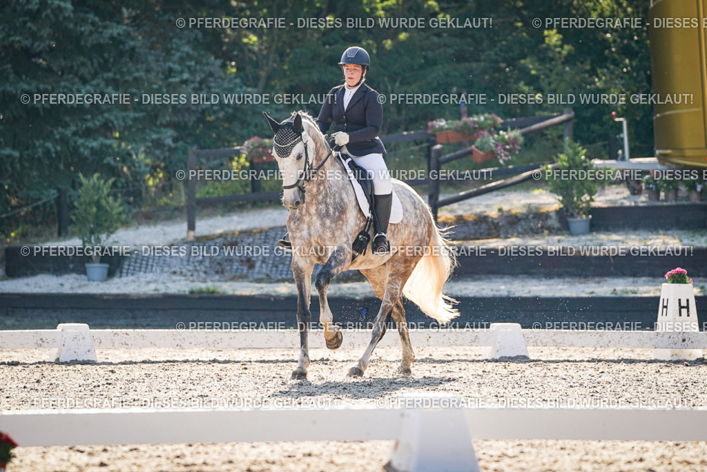 DSC08561 | Pferdegrafie