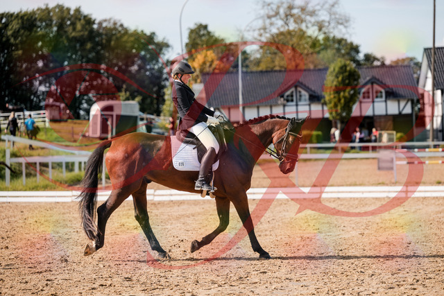 2026_10_03_Siefer-Hof_130437_Z63_67438943 | Professionelle Reitsport-, Turnier- und Eventfotografie von Robert Broda. Galerien mit ausgewählten und bearbeiteten Bildern direkt online ansehen und bestellen.