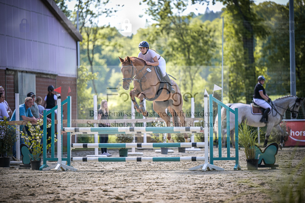 DOS_2489 | Entdecke hochwertige Reitturnierfotos von Foto Oger. Professionell, emotional und authentisch – jetzt Lieblingsmomente im Shop bestellen. - Realisiert mit Pictrs.com