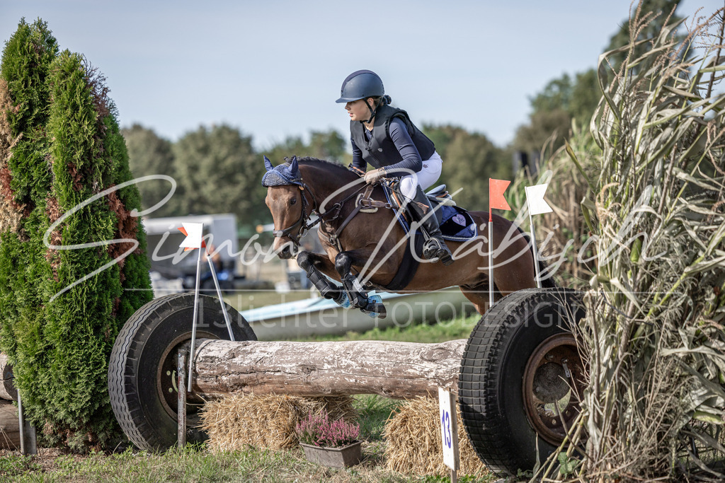 20250907-_3LI9521 | Tierfotografie Pferde, Hunde, Katzen, Haustiere.
Turnierfotografie Reitturniere, Reiten, Springreiten, Dressur in Hanau, dem Main-Kinzig-Kreis und dem Rhein-Main- Gebiet um Frankfurt