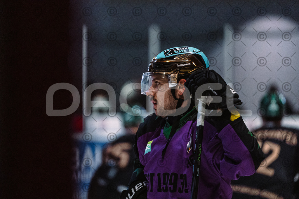 Erding_vs_Alligators_02_01_2026-10 | Höchstadt Alligators Fotogalerie: Eishockey-Action aus Franken. Professionelle Spielfotos, Portraits & Stadionbilder zum Download. Jetzt entdecken! - Realisiert mit Pictrs.com