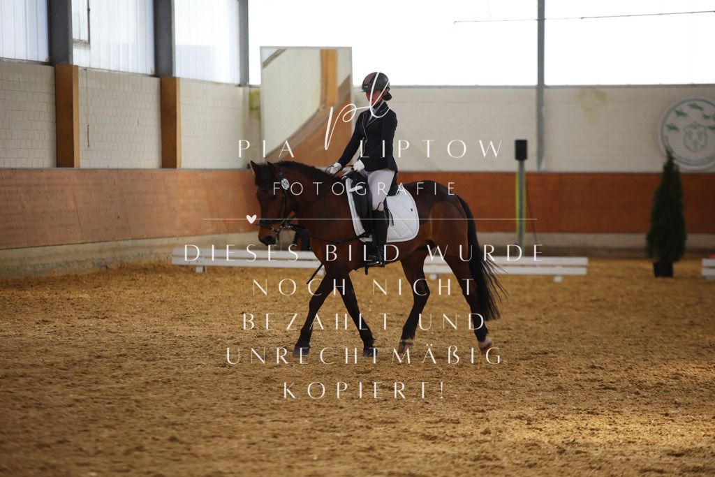 IMGT3535 | pl-fotografie