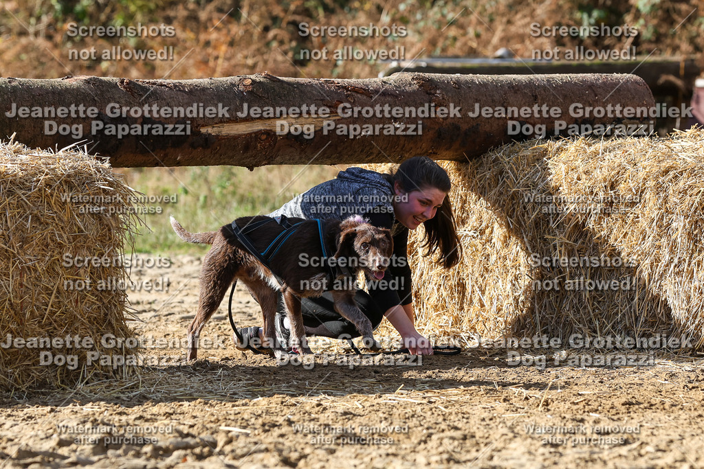 Dog Paparazzi - Strongdog 10-25-4904 | Dog Paparazzi Jeanette Grottendiek Fotografie & Videografie - Realisiert mit Pictrs.com