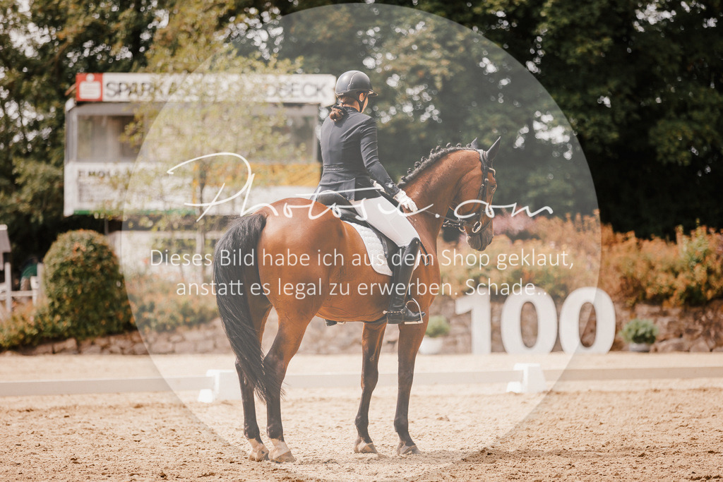 3I6A6314 | Stimmungsvolle Portraits und Reitsportfotografie im Ruhrgebiet und im Münsterland.

Pferdefotografie, Hundefotografie, Tierfotografie, Reportagen, Portraits von Tier und Mensch, Turnierfotografie in Bochum, Recklinghausen, Marl, Haltern am See, Dülmen.. - Realisiert mit Pictrs.com