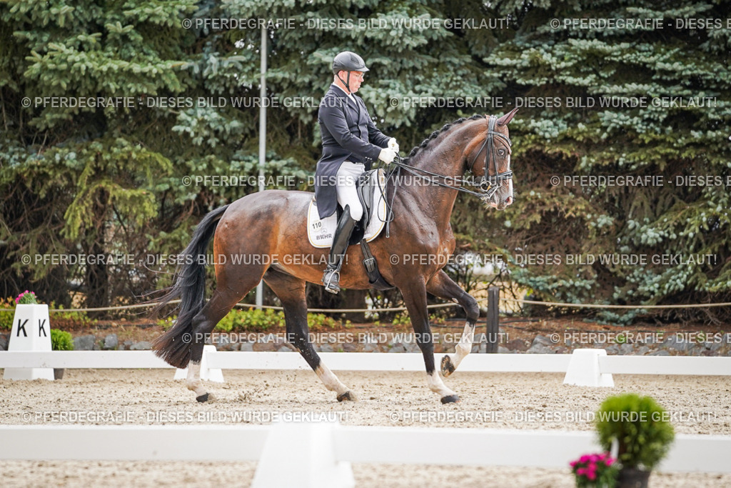 DSC06933 | Pferdegrafie