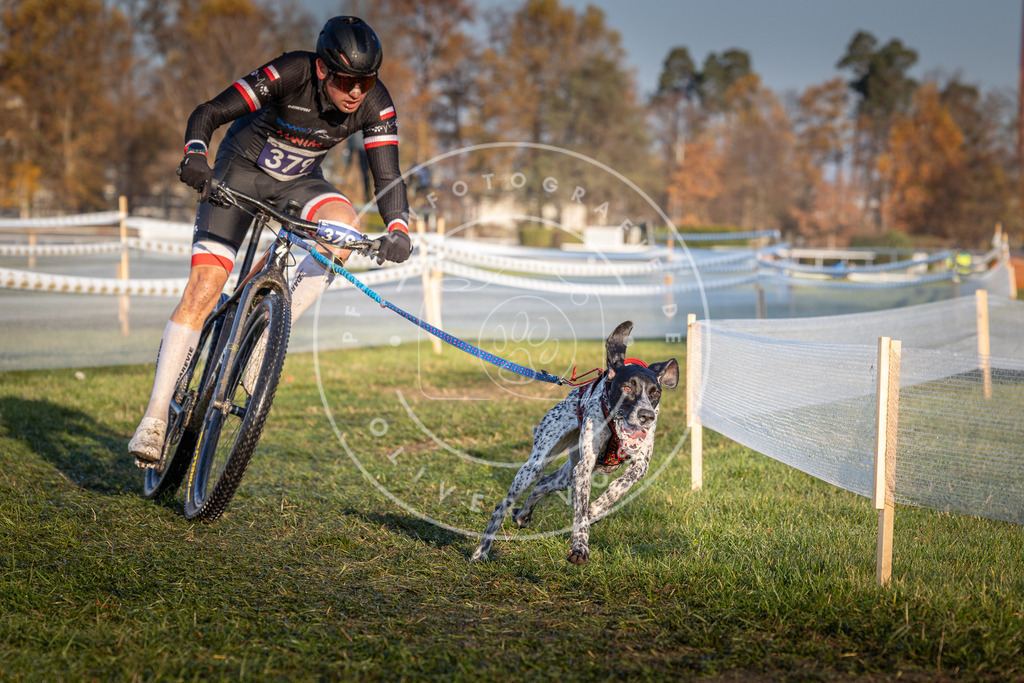CaniXpix_0L8A3719 | Hundefotografie, Tierfotograf, Pfotenfotografie, Fotoshooting Hund, Hunde Portrait, Hundesport, Hundeportraits, Heideshooting, Hunde, Sportfotograf, Hundefotograf, Turnierhundsport, THS,  - Realisiert mit Pictrs.com