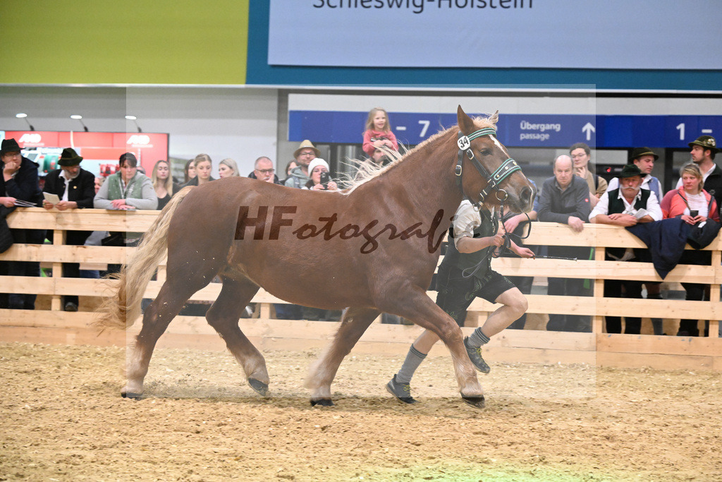 Kat-Nr. 34 Polly v. Sandro_Schmalzl_1260517 | hf-fotografie - Realisiert mit Pictrs.com