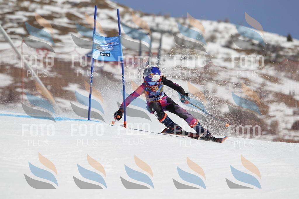 _U3G9201 | holidayphoto