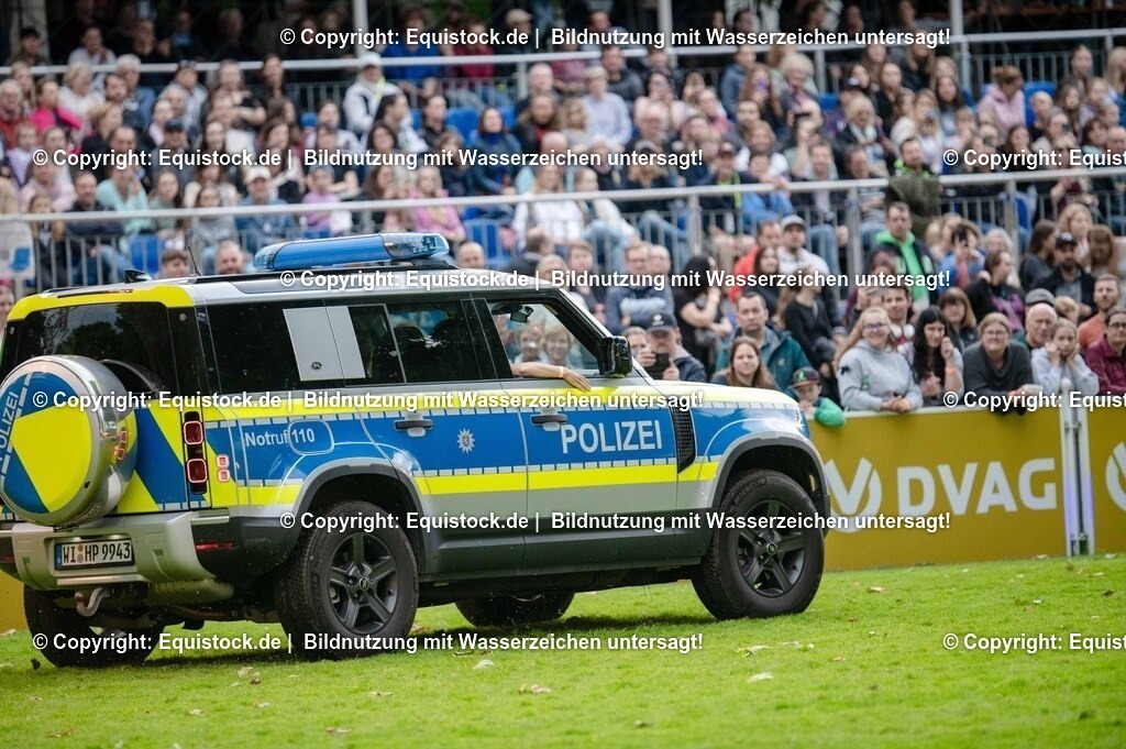 20250606_Lange-Pferdenacht_0664 | Foto: Thomas Hartig