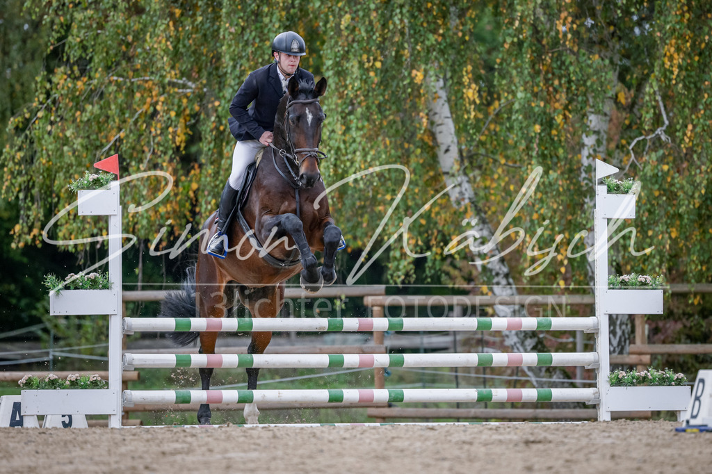 20251012-_3LI3821 | Tierfotografie Pferde, Hunde, Katzen, Haustiere.
Turnierfotografie Reitturniere, Reiten, Springreiten, Dressur in Hanau, dem Main-Kinzig-Kreis und dem Rhein-Main- Gebiet um Frankfurt