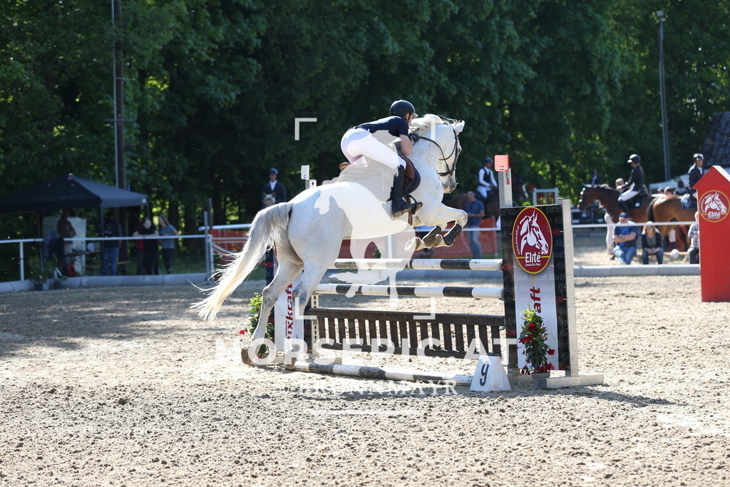 DL2Q2573 | Willkommen bei Brunnmayr - Design & Fotografie – Ihrem Spezialisten für Reitturniere und Pferdeveranstaltungen in Oberösterreich, Salzburg und Bayern! Seit über 17 Jahren sind wir leidenschaftlich dabei.
