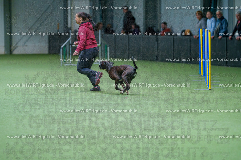 @allesWIRTHgut_Tierfotografie - www.allesWIRTHgut.de - 2604251059-7R500762 | Professionelle Tierfotografie in Mönchengladbach von Daniel Wirth (allesWIRTHgut). Liebevolle & natürliche Bilder von Hunden & Katzen für unvergessliche Erinnerungen.